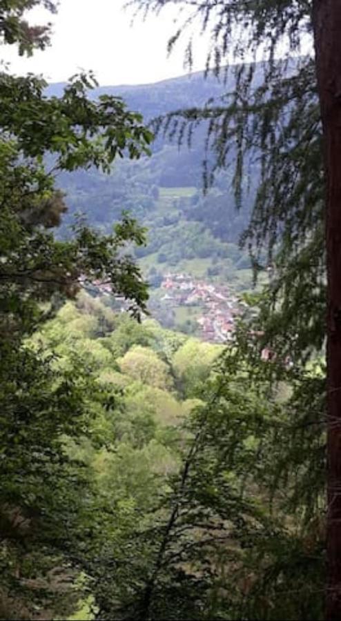 Les Locations De Stephanie Les Hautes Vosges Sondernach Ngoại thất bức ảnh