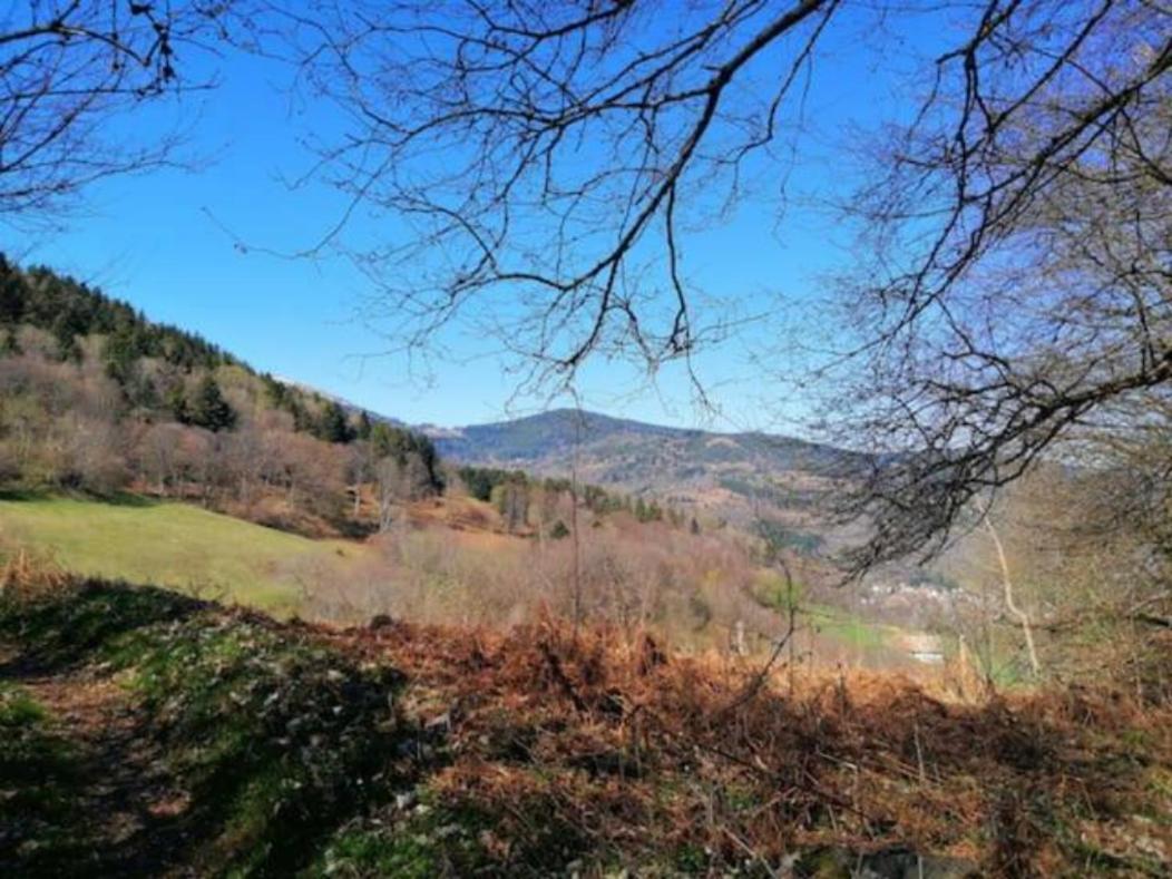 Les Locations De Stephanie Les Hautes Vosges Sondernach Ngoại thất bức ảnh